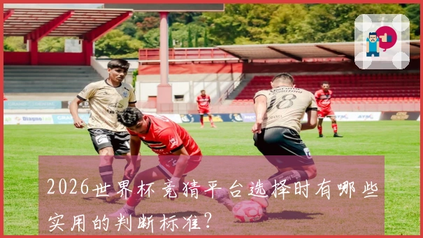 2026世界杯竞猜平台选择时有哪些实用的判断标准？