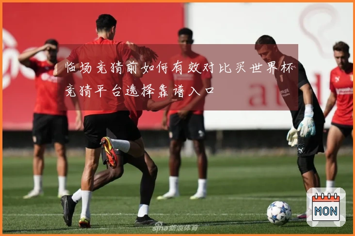 临场竞猜前如何有效对比买世界杯竞猜平台选择靠谱入口