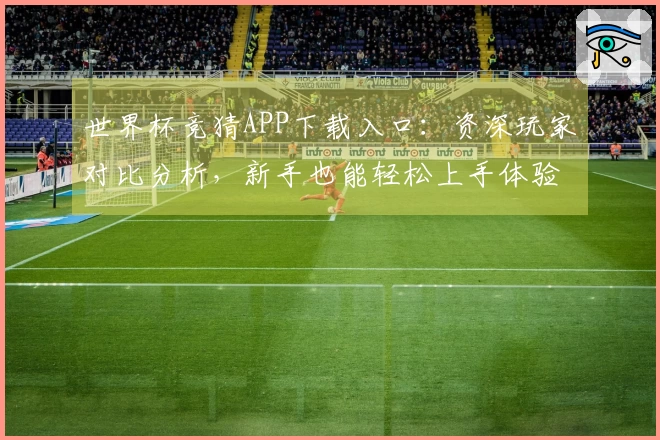 世界杯竞猜APP下载入口：资深玩家对比分析，新手也能轻松上手体验