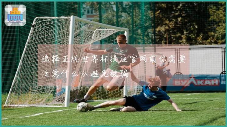 选择正规世界杯投注官网前你需要注意什么以避免被骗