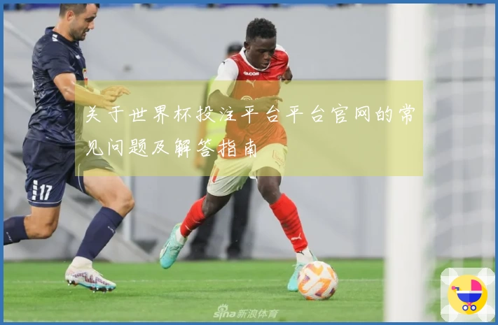 关于世界杯投注平台平台官网的常见问题及解答指南
