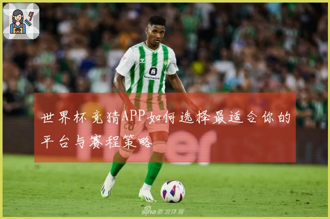 世界杯竞猜APP如何选择最适合你的平台与赛程策略