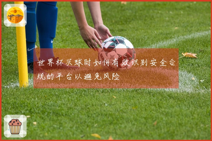 世界杯买球时如何有效识别安全合规的平台以避免风险