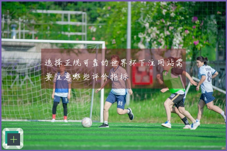 选择正规可靠的世界杯下注网站需要注意哪些评价指标