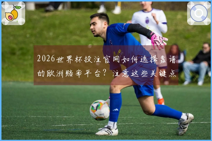 2026世界杯投注官网如何选择靠谱的欧洲赔率平台？注意这些关键点！