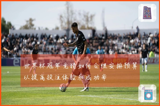世界杯冠军竞猜如何合理安排预算以提高投注体验和成功率