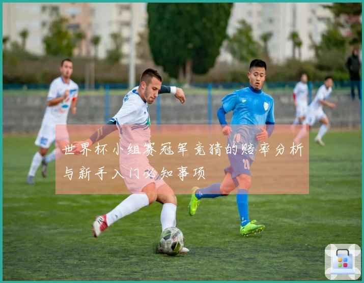 世界杯小组赛冠军竞猜的赔率分析与新手入门必知事项