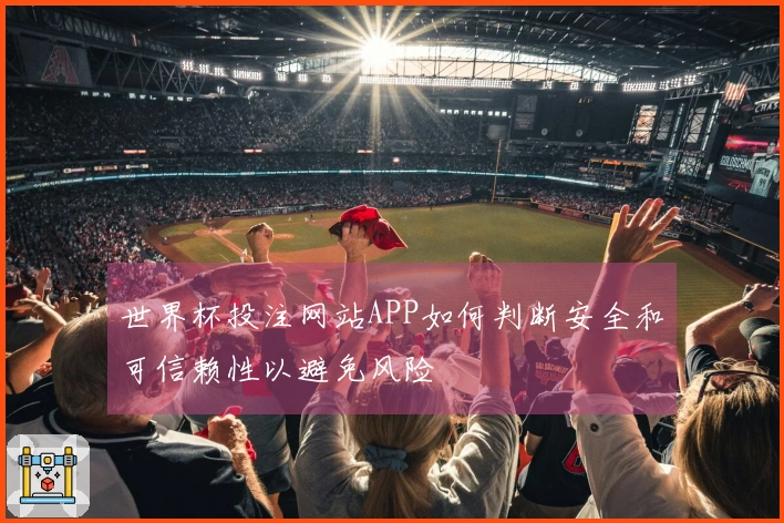 世界杯投注网站APP如何判断安全和可信赖性以避免风险