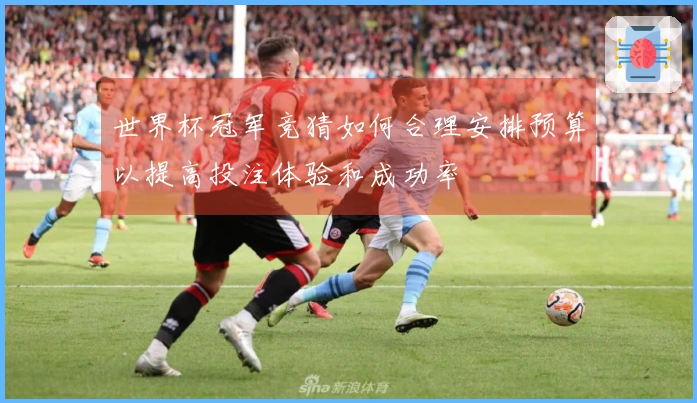 世界杯冠军竞猜如何合理安排预算以提高投注体验和成功率