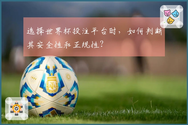 选择世界杯投注平台时，如何判断其安全性和正规性？
