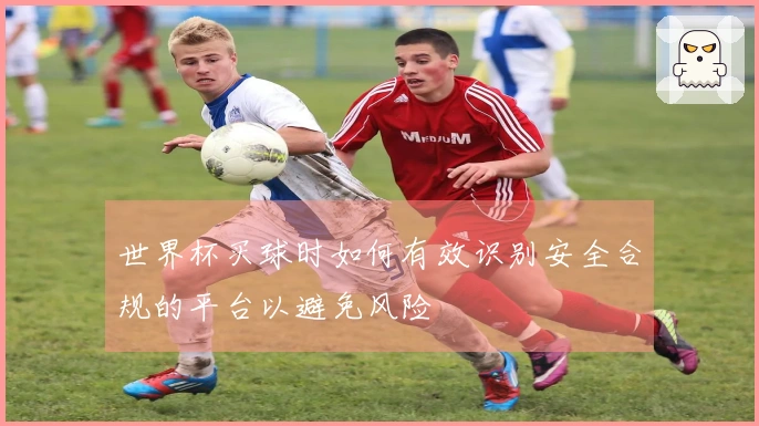 世界杯买球时如何有效识别安全合规的平台以避免风险